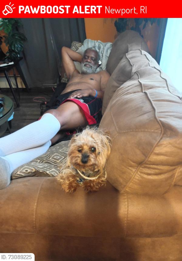 Lost Male Dog last seen Ranger road, Newport, RI 02840
