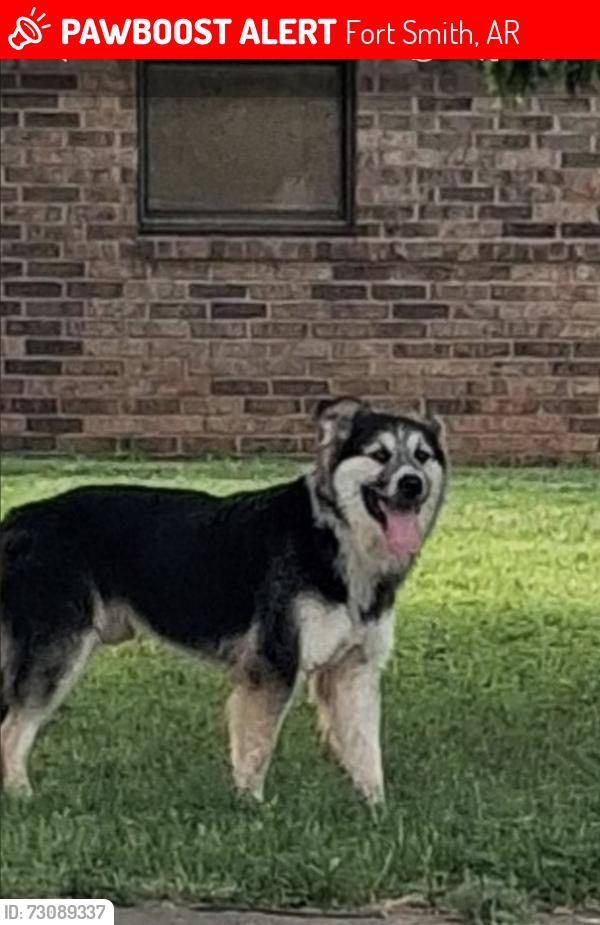 Lost Male Dog last seen Phoenix and Jenny Lind, Fort Smith, AR 72901