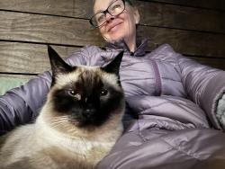 Reunited Male Cat last seen Morrison, Portland, OR 97215