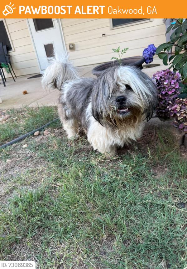Found/Stray Male Dog last seen Mundy Mill Neighborhood, Oakwood, GA 30566