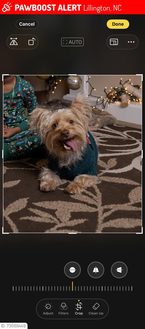 Lost Male Dog last seen By Burger King, Lillington, NC 27546