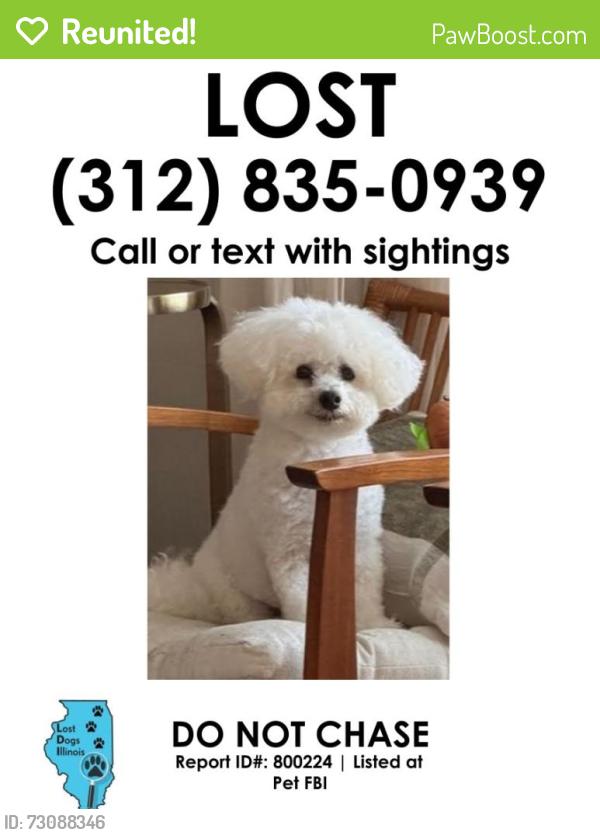 Reunited Male Dog last seen howard and california, Skokie, IL 60076