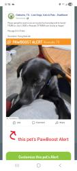 Found/Stray Male Dog last seen Hopper/Jessup, Alvarado, TX 76009