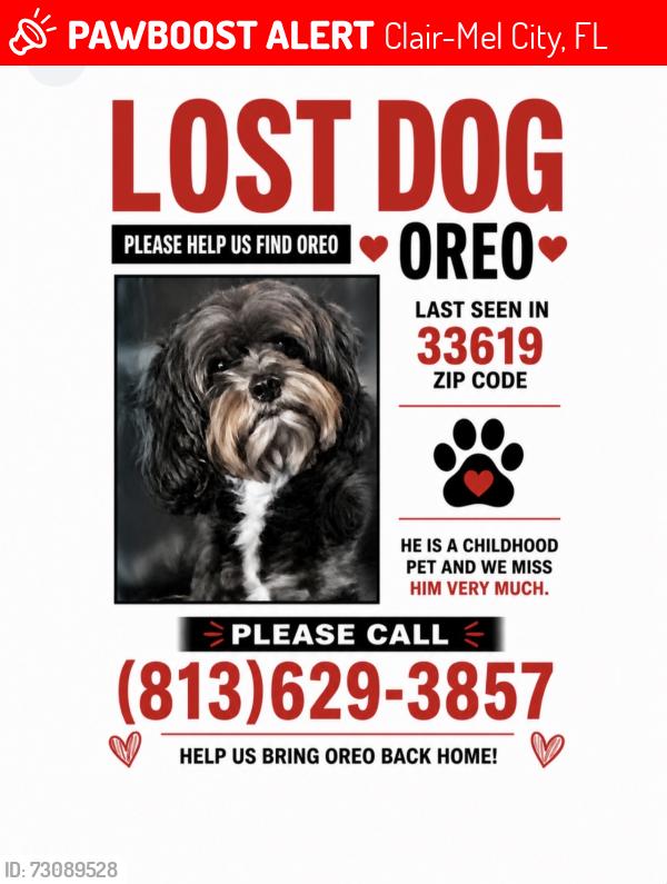 Lost Male Dog last seen tidewater, Clair-Mel City, FL 33619