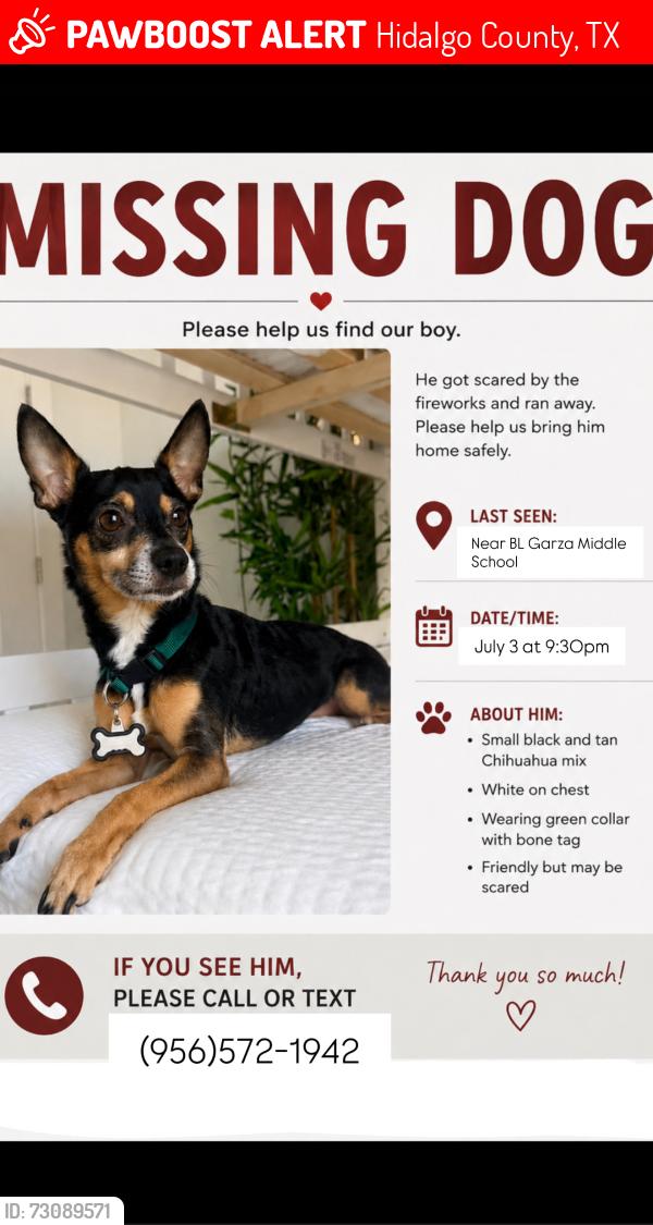 Lost Male Dog last seen Chapin and Monmack Edinburg tx, Hidalgo County, TX 78541