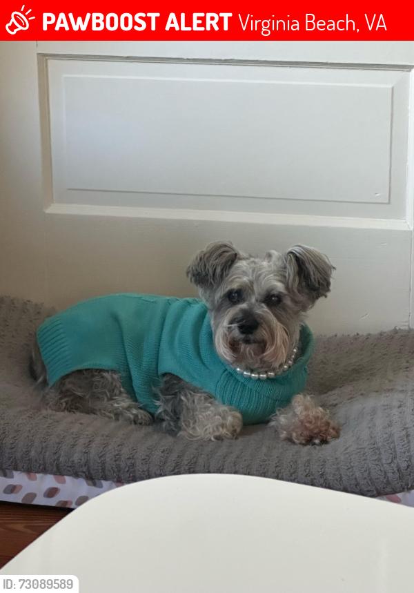 Lost Female Dog last seen Lynnhaven and Lamplight, Virginia Beach, VA 23452