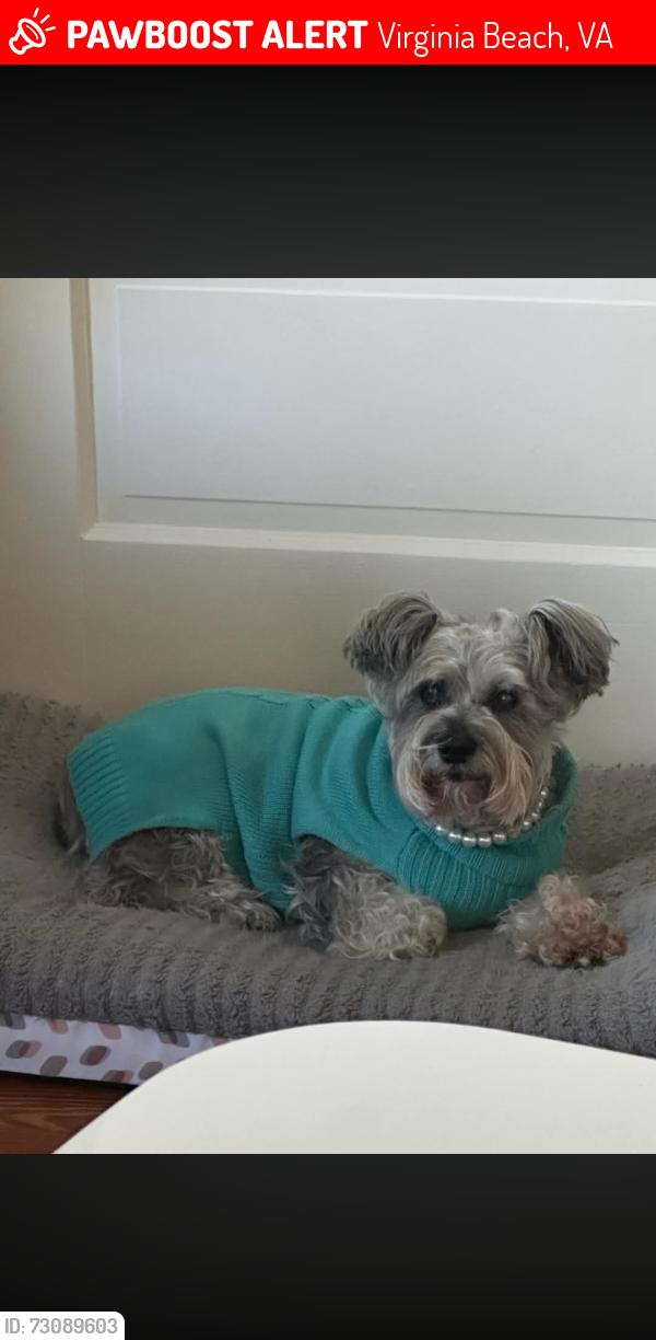 Lost Female Dog last seen Lynhaven parkway, Virginia Beach, VA 23453