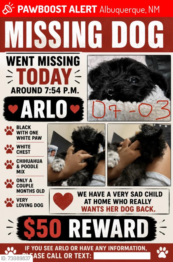 Lost Male Dog last seen Arenal and desert morning, Albuquerque, NM 87121