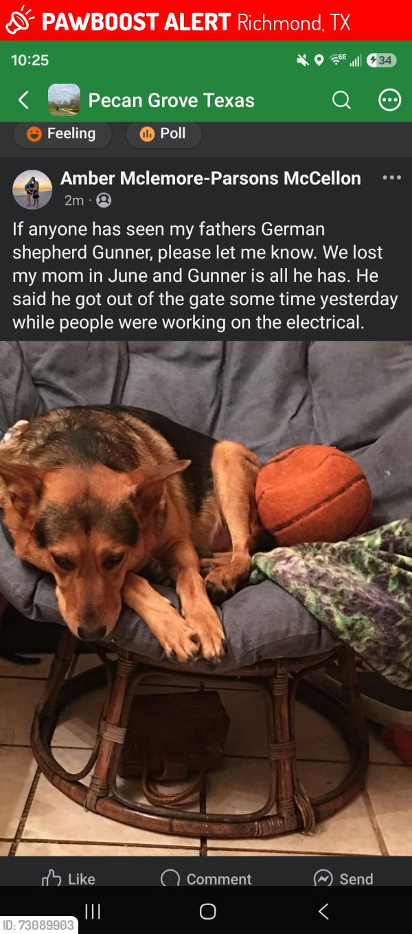 Lost Male Dog last seen Plantation dr & Quarter path (pecan grove), Richmond, TX 77406