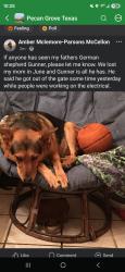 Lost Male Dog last seen Plantation dr & Quarter path (pecan grove), Richmond, TX 77406