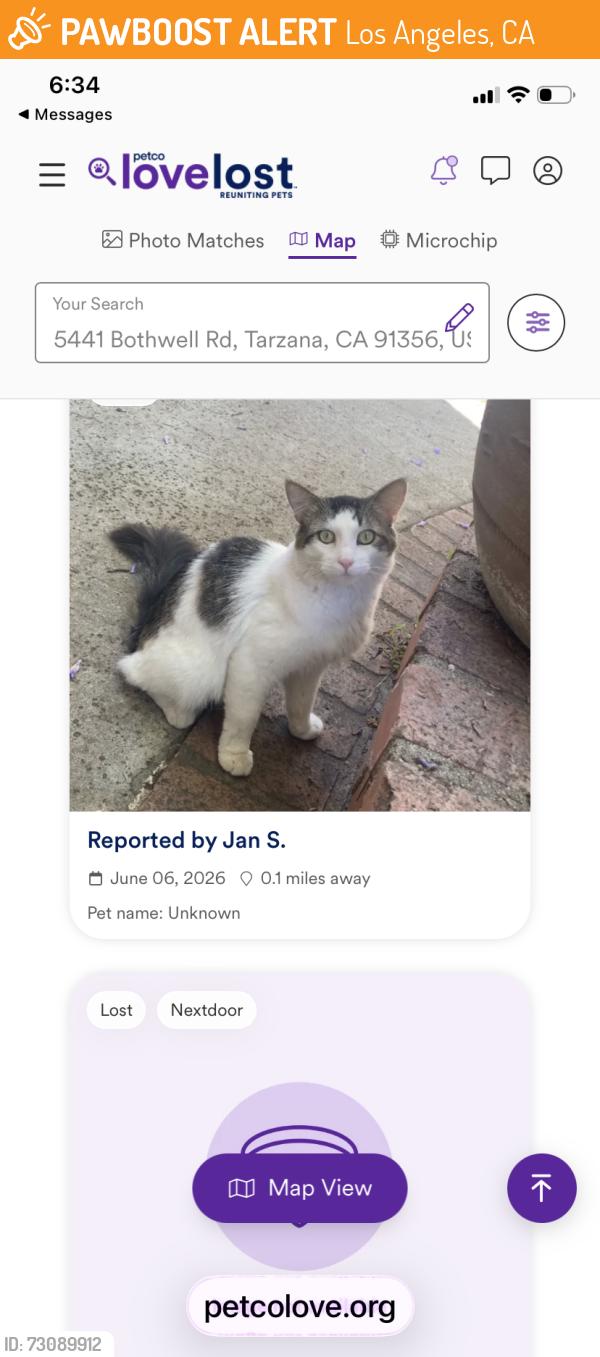 Found/Stray Male Cat last seen Corbin and Ventura blvd, Los Angeles, CA 91356