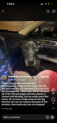 Lost Male Dog last seen killeen texas, Killeen, TX 76541