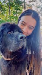 Lost Female Dog last seen Chapman road Linda Dr. Lite n tie, Jones County, GA 31211