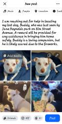 Lost Male Dog last seen Jam Reynolds park Avenue j in elm street., Lancaster, CA 93534