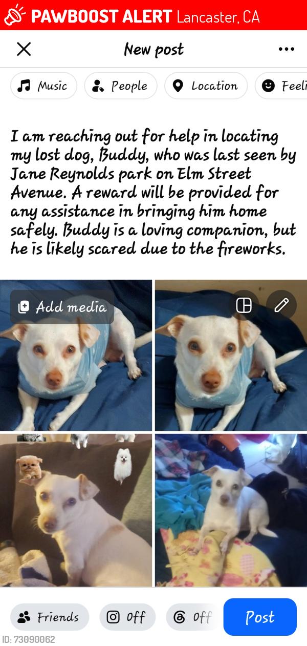 Lost Male Dog last seen Jam Reynolds park Avenue j in elm street., Lancaster, CA 93534