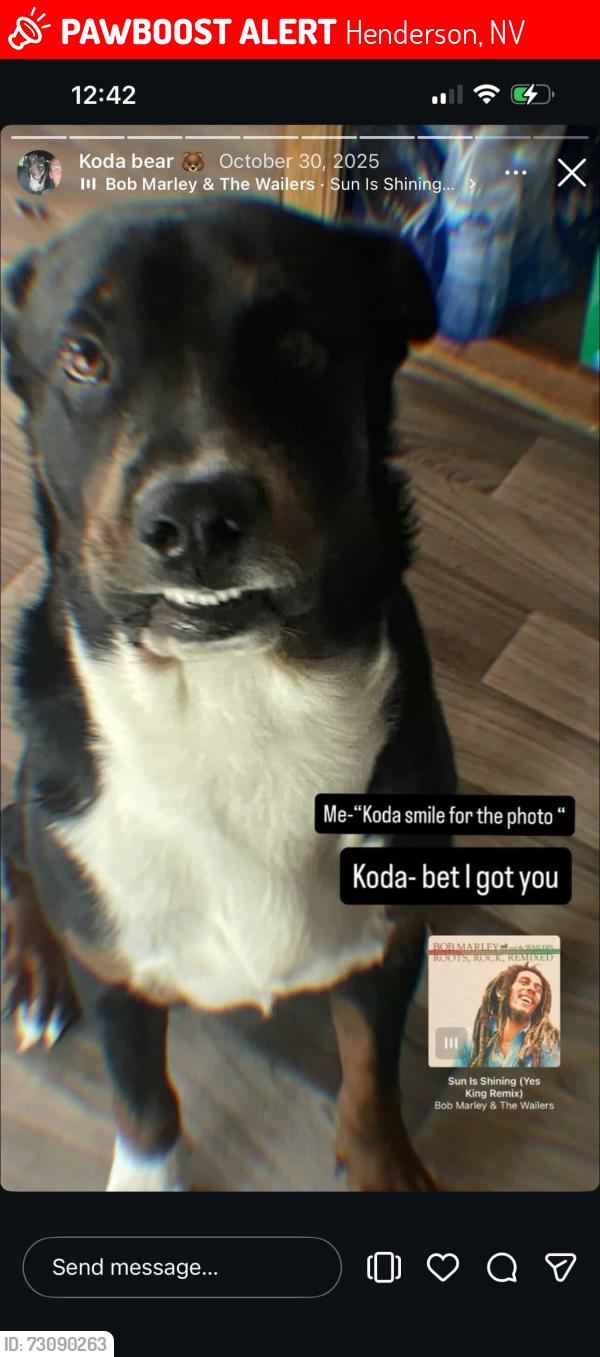 Lost Male Dog last seen Pitman park, Henderson, NV 89011