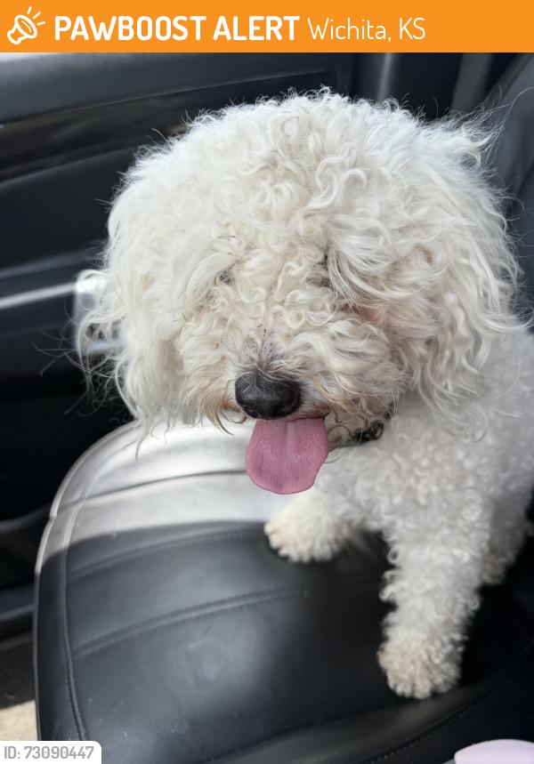 Found/Stray Male Dog last seen 21st amidon, Wichita, KS 67203