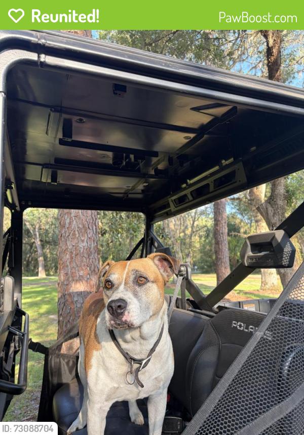 Reunited Male Dog last seen Crystal river , Crystal River, FL 34428