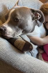 Lost Female Dog last seen Granite Middle School, Granite Falls, NC 28630