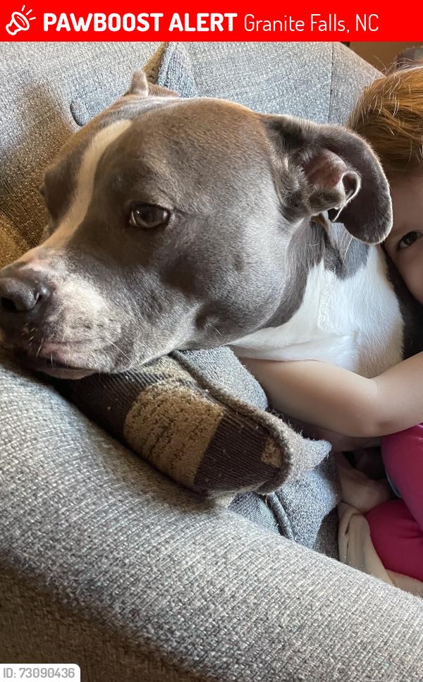 Lost Female Dog last seen Granite Middle School, Granite Falls, NC 28630