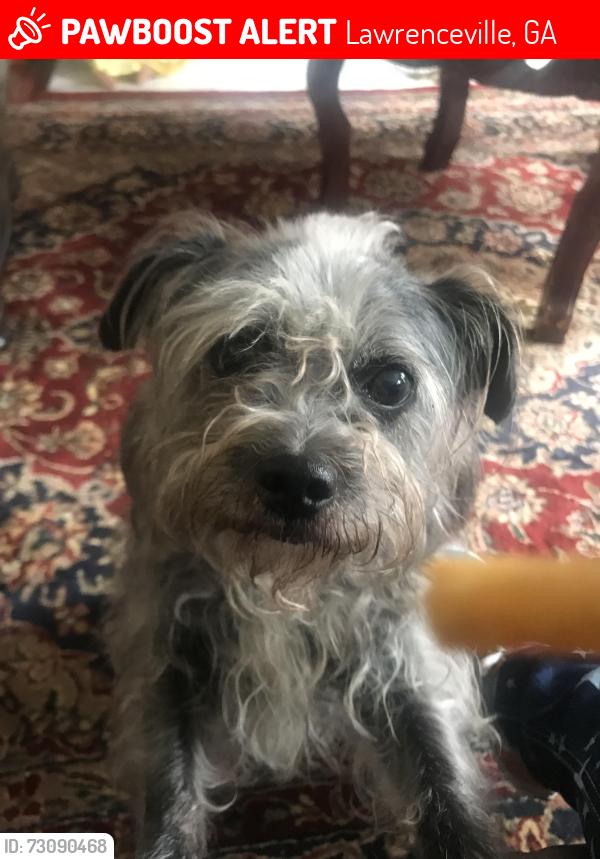 Lost Female Dog last seen Near 450 cotton gin lane, Lawrenceville, GA 30045