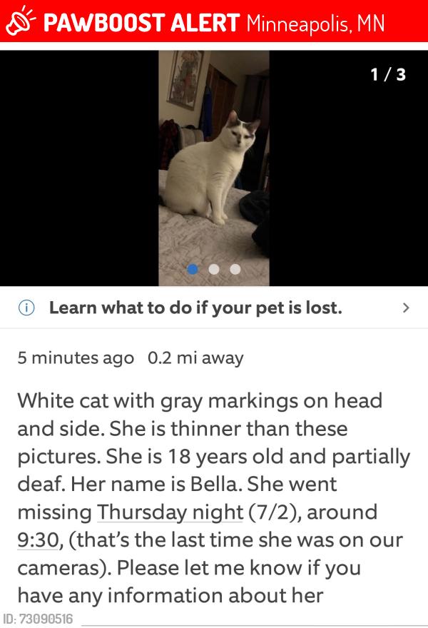 Lost Female Cat last seen Our hse outside, Minneapolis, MN 55443