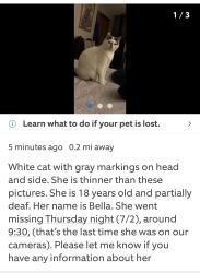 Lost Female Cat last seen Our hse outside, Minneapolis, MN 55443