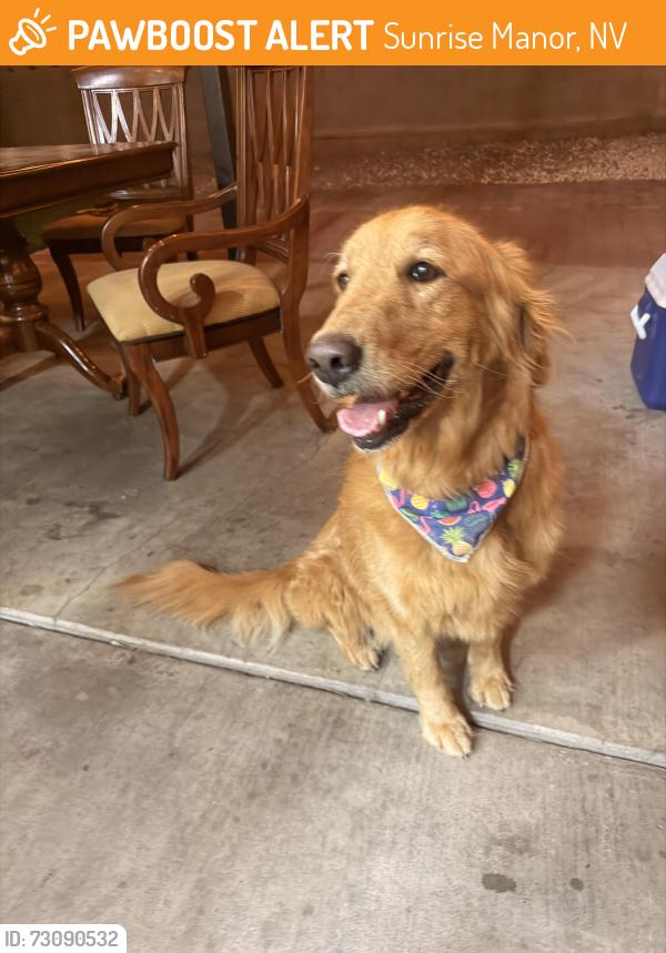 Found/Stray Female Dog last seen Craig, Sunrise Manor, NV 89156