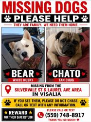 Lost Male Dog last seen Silvervale and Laurel Ave, Visalia, CA 93291