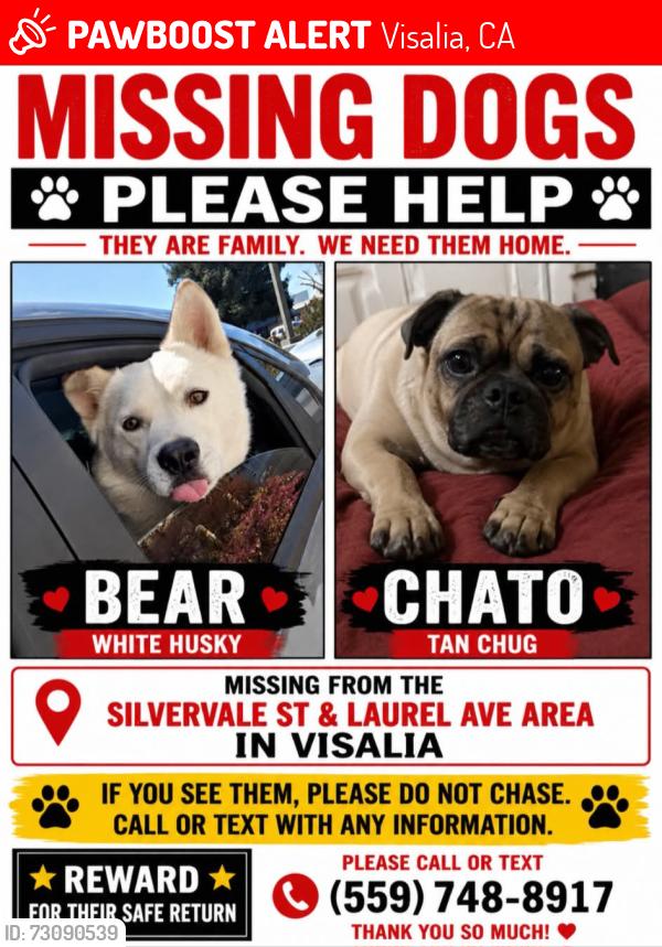 Lost Male Dog last seen Silvervale and Laurel Ave, Visalia, CA 93291
