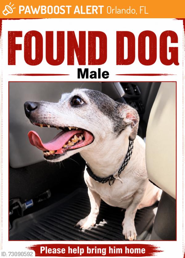 Found/Stray Male Dog last seen Metrowest, Orlando, FL 32835