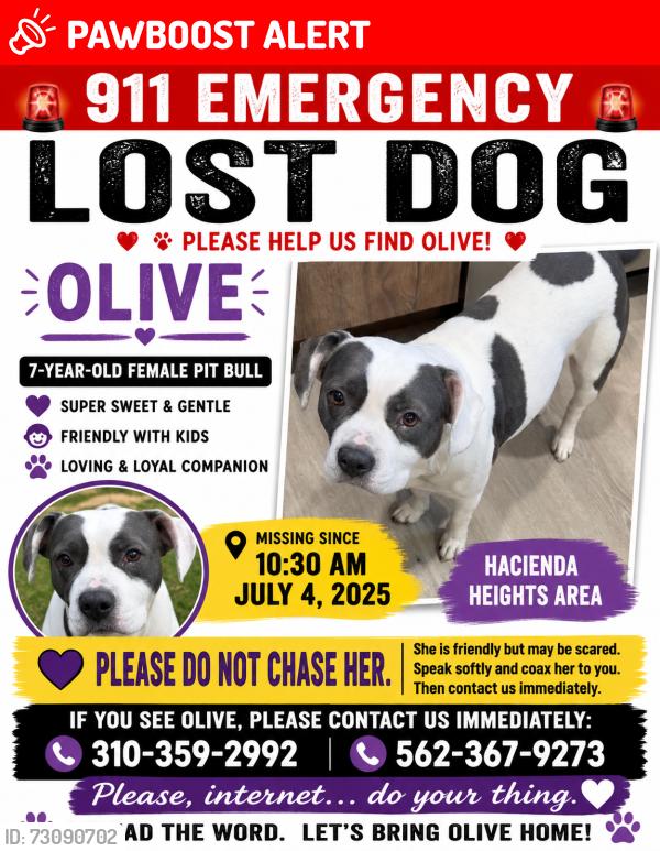 Lost Female Dog last seen Colima, Hacienda Heights, CA 91745