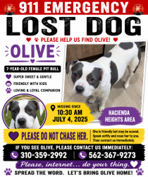 Lost Female Dog last seen Colima, Hacienda Heights, CA 91745