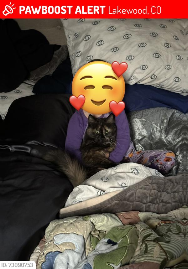 Lost Female Cat last seen Hampton and Kipling, Lakewood, CO 80227