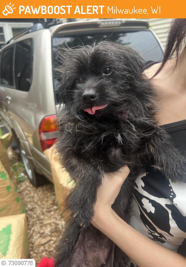 Found/Stray Female Dog last seen Near 29th and galena, Milwaukee, WI 53208