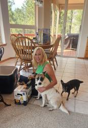 Found/Stray Female Dog last seen Rio de Flag and Country Club, Flagstaff, AZ 86004