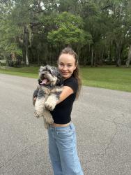 Found/Stray Unknown Dog last seen SW 24 ave and SW 87 way, West End, FL 33193