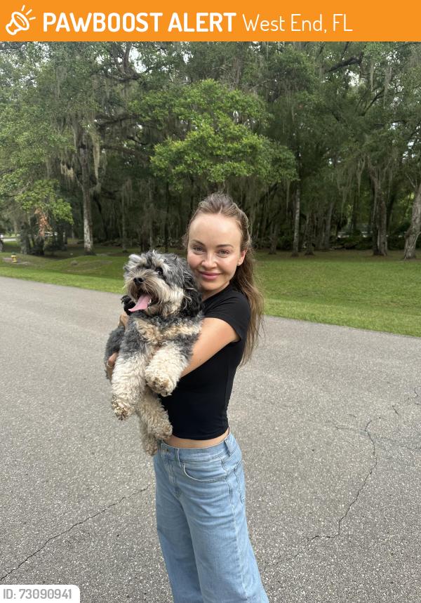 Found/Stray Unknown Dog last seen SW 24 ave and SW 87 way, West End, FL 33193