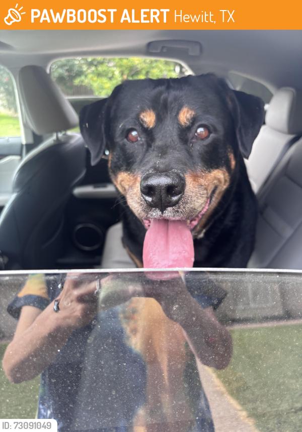 Found/Stray Male Dog last seen Steamboat, Hewitt, TX 76643