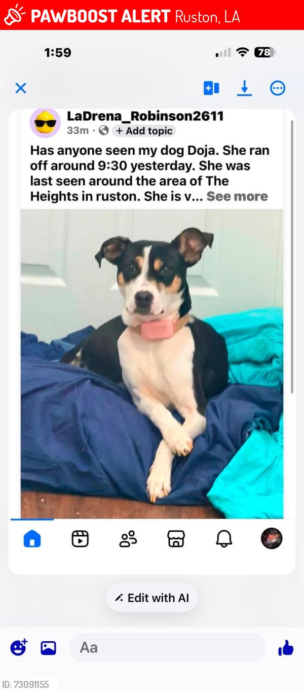 Lost Female Dog last seen The Heights, Ruston, LA 71270
