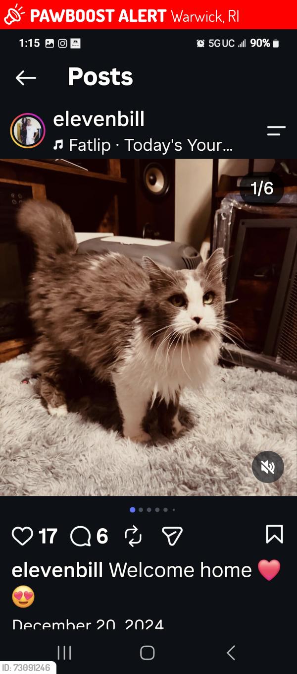 Lost Female Cat last seen West Shore Road, Warwick, RI 02889