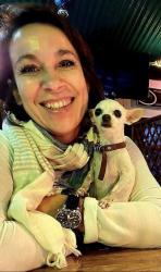Reunited Female Dog last seen Near country woods cr Kissimmee Fl, 34744, Kissimmee, FL 34759