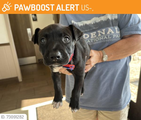 Found/Stray Male Dog last seen Near and Sam houston, US-59,  66032