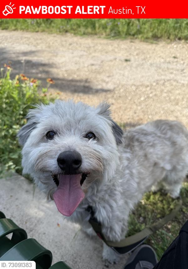 Lost Male Dog last seen Par 7 frisbee golf course, Austin, TX 78748