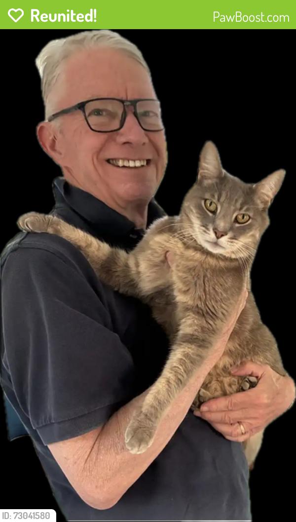 Reunited Male Cat last seen the creek bed between Ault Park territory and Deepwoods Lane, heading West, Cincinnati, OH 45208