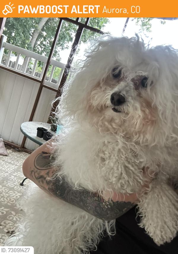 Found/Stray Unknown Dog last seen Iowa st and Tower Road, Aurora, CO 80017