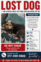 Reunited Female Dog last seen 59th & Lee Rd, Indianapolis, IN 46216