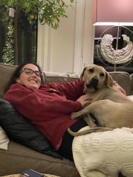 Lost Male Dog last seen Oaklawn and Jordan, Brevard, NC 28712