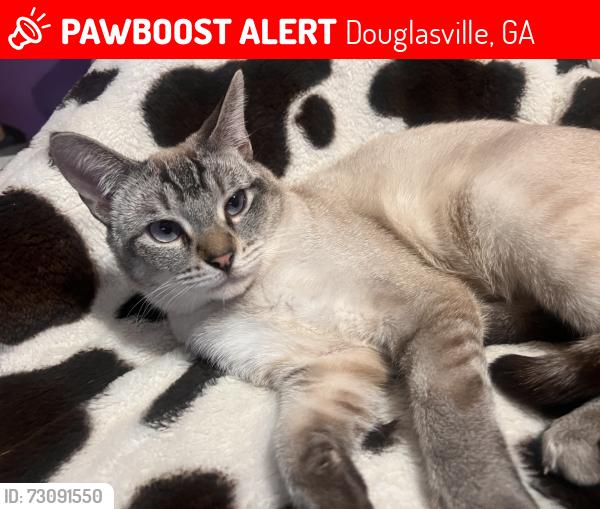 Lost Male Cat last seen Riverwalk rd, Douglasville, GA 30134