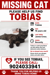 Reunited Male Cat last seen James Crescent, Jensen lake, St. Albert, AB T8N